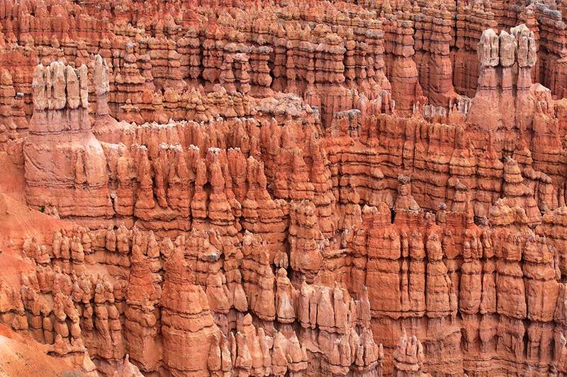 Bryce Canyon : Utah : Landscape Photos : Richard Moore : Photographer